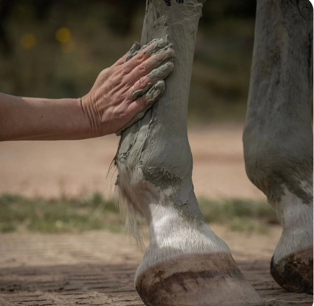 Cataplasme d’argile pour chevaux « Drainage et Détox ».