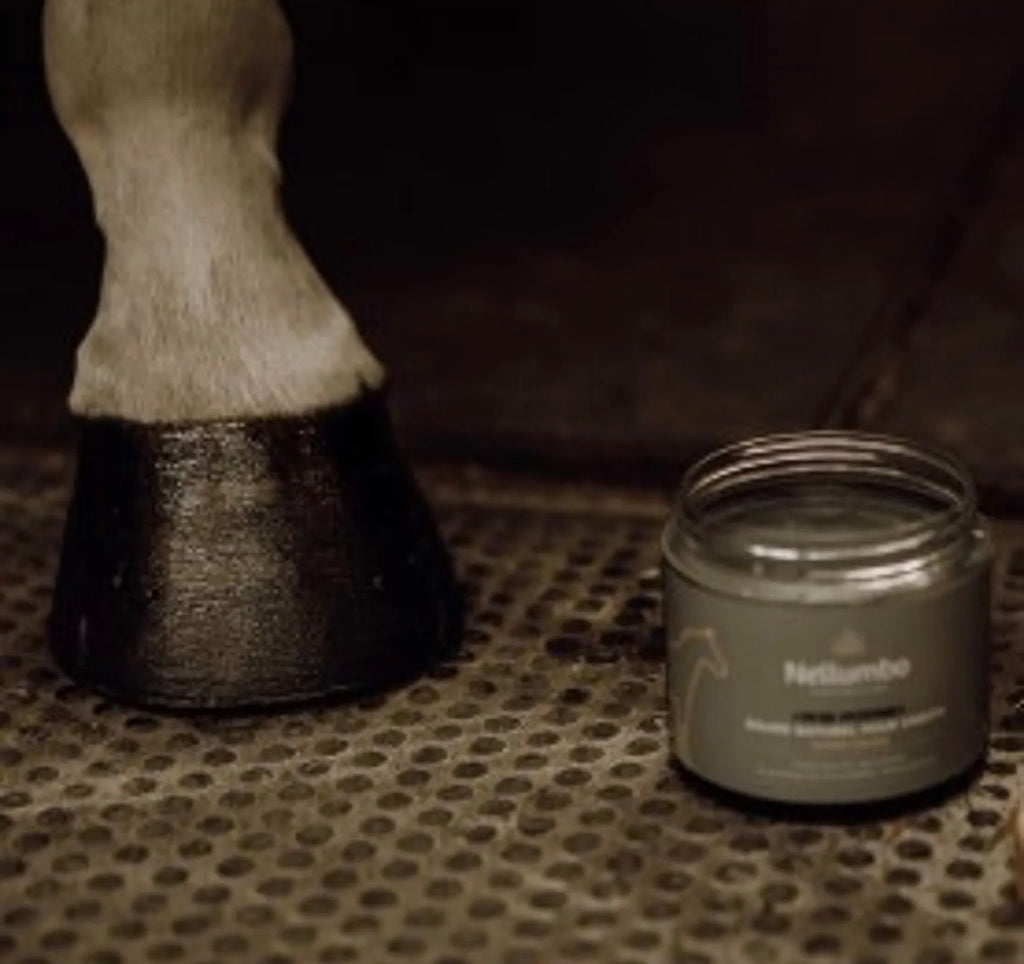 Baume - Soins « Sabots noir »