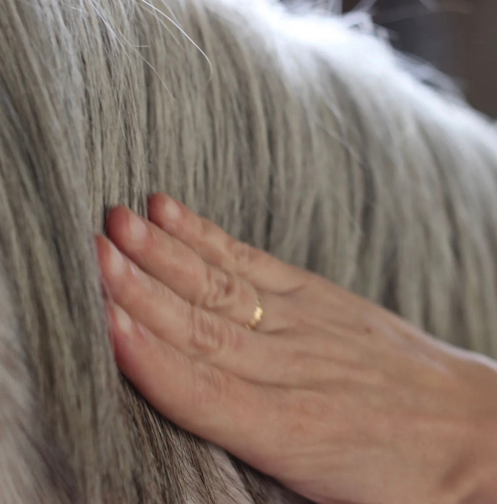 Sérum « Sublime crins » pour chevaux.